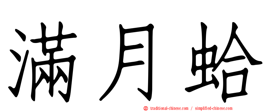 滿月蛤