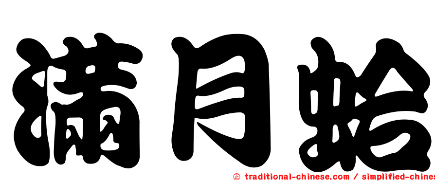 滿月蛤