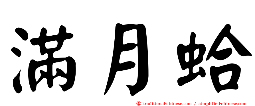 滿月蛤