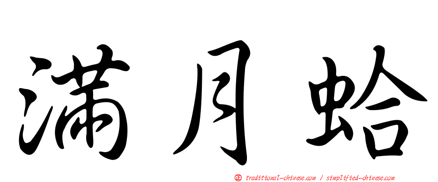 滿月蛤