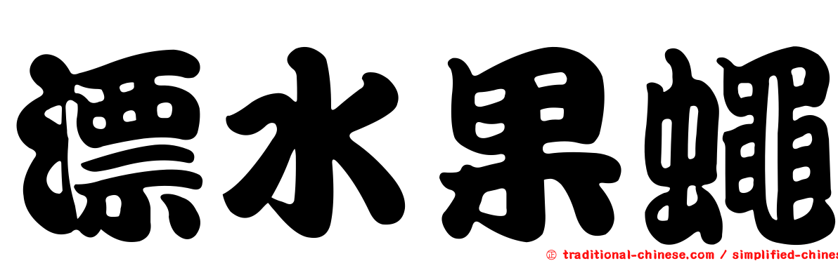 漂水果蠅