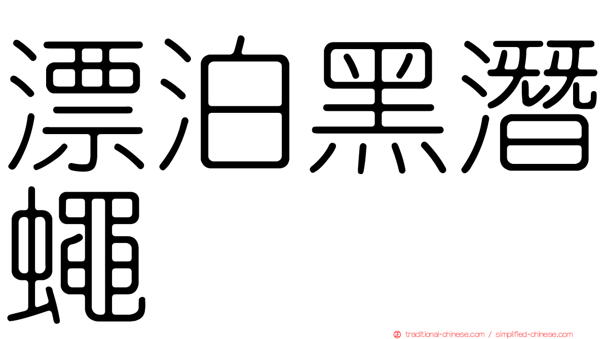漂泊黑潛蠅