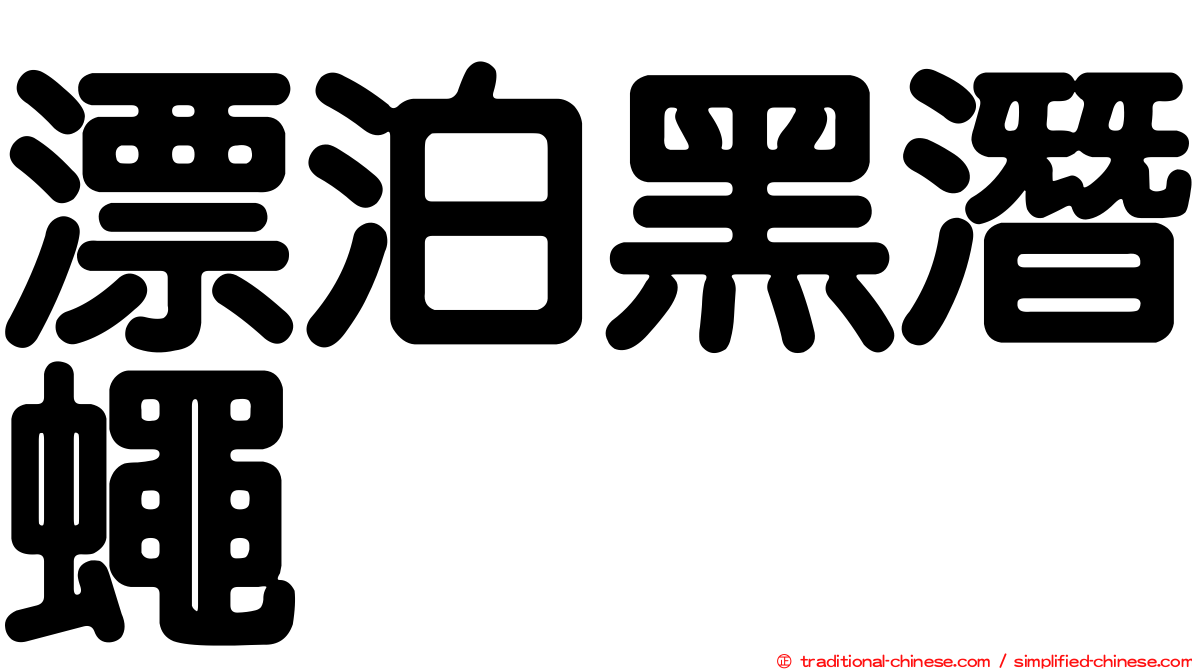 漂泊黑潛蠅