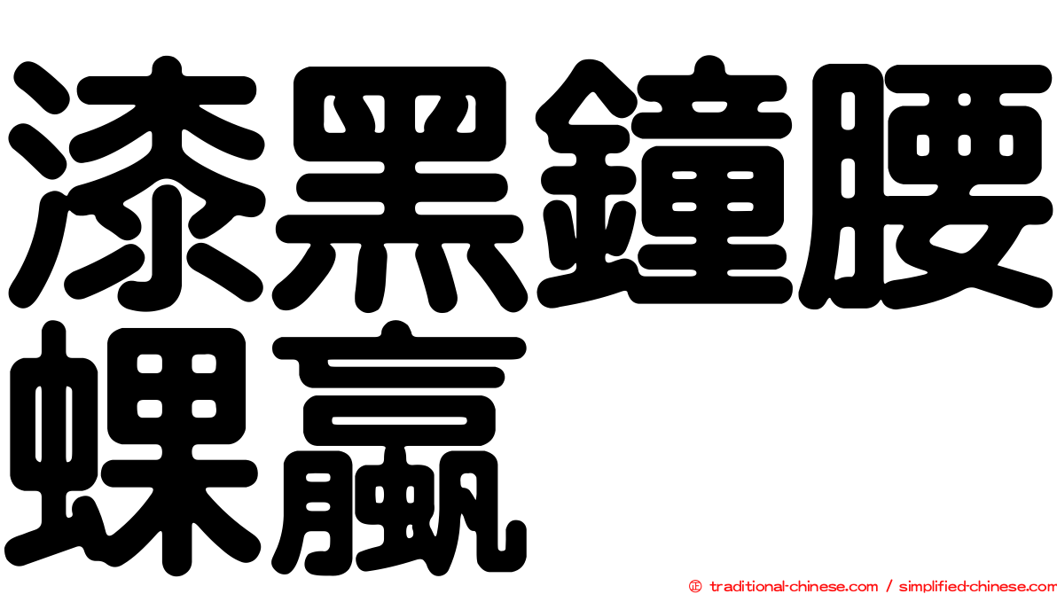 漆黑鐘腰蜾蠃
