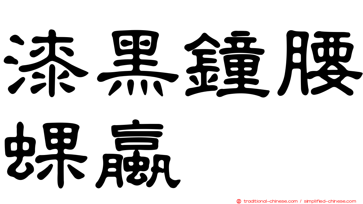 漆黑鐘腰蜾蠃