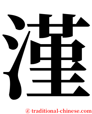 漌 serif font