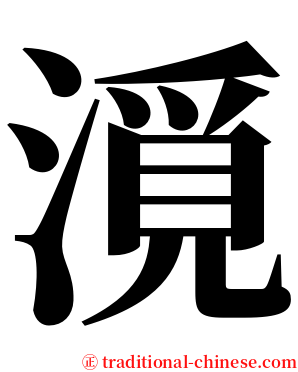 漞 serif font