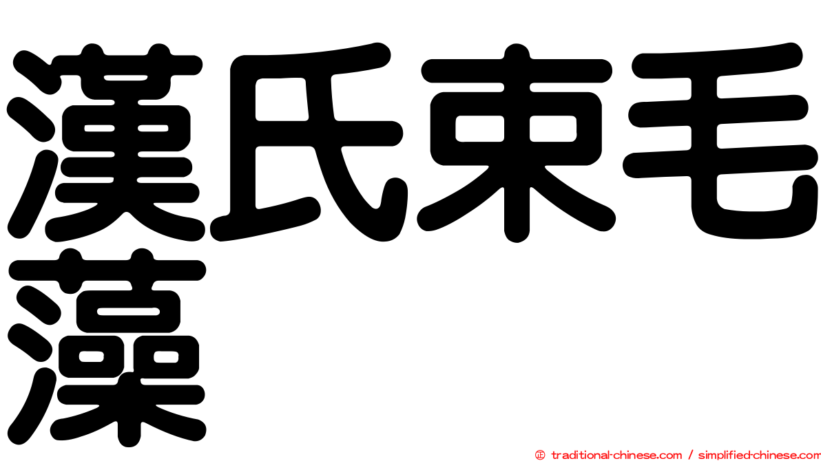漢氏束毛藻
