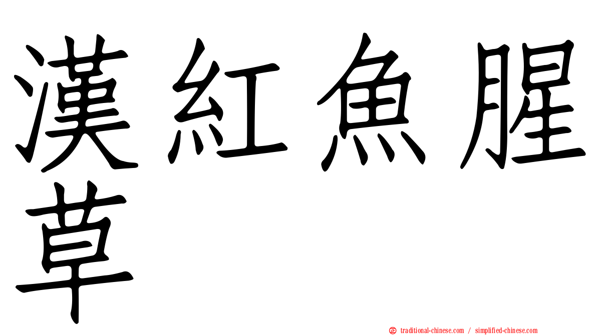 漢紅魚腥草