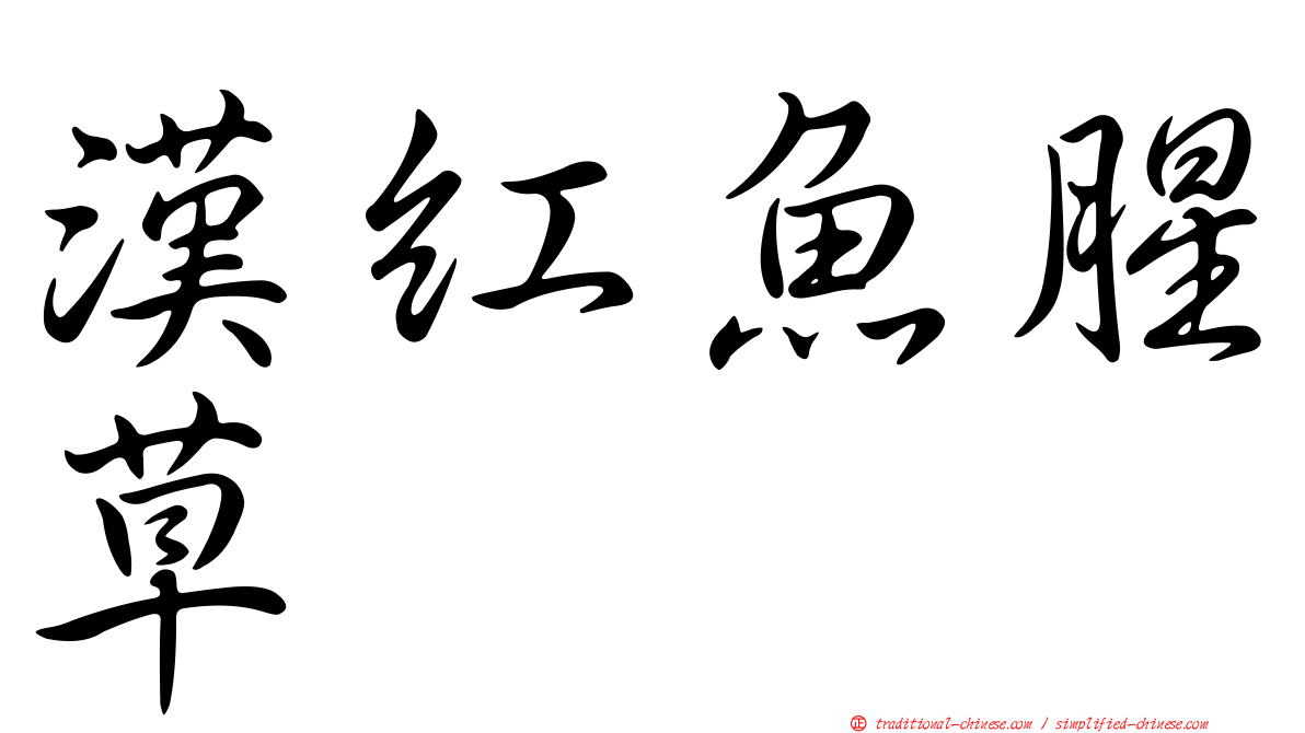 漢紅魚腥草