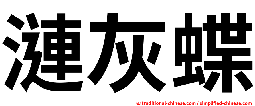 漣灰蝶