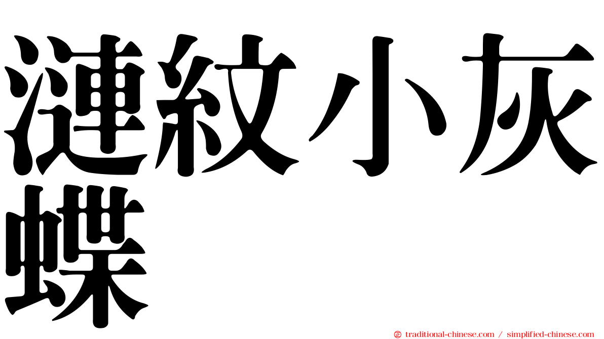 漣紋小灰蝶