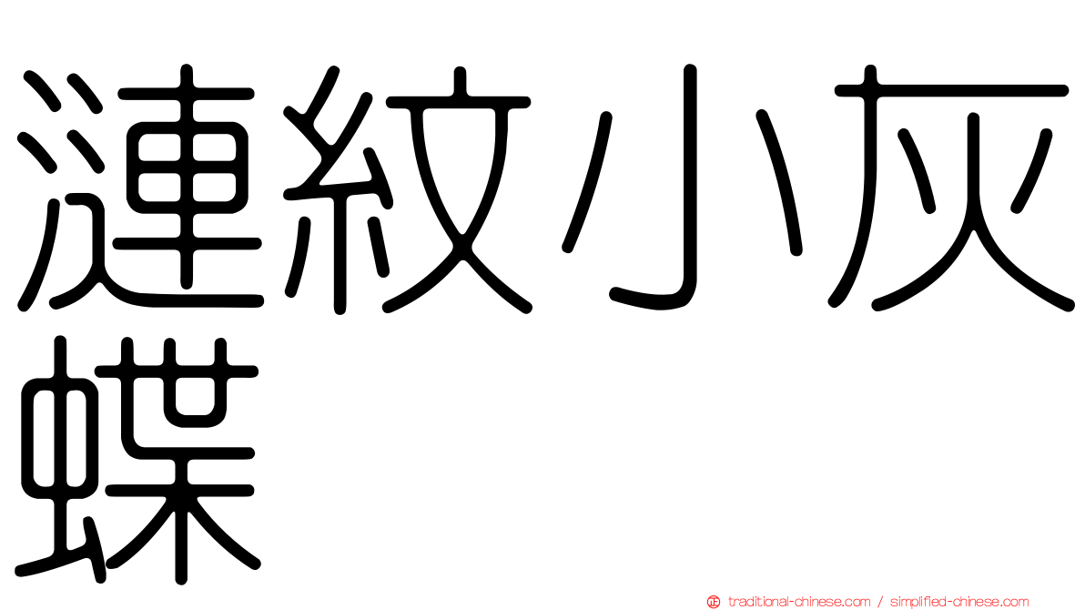 漣紋小灰蝶