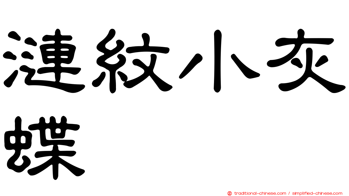漣紋小灰蝶