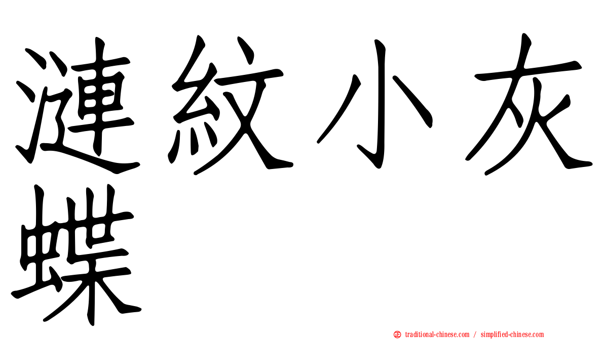 漣紋小灰蝶