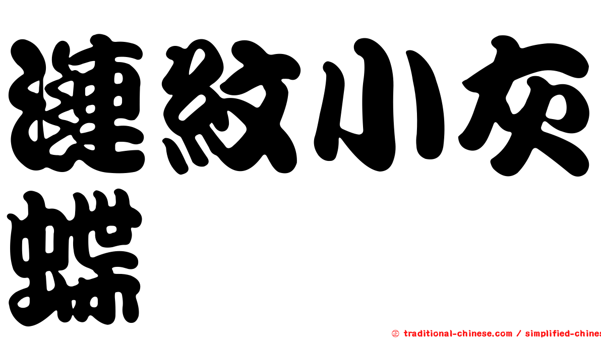 漣紋小灰蝶