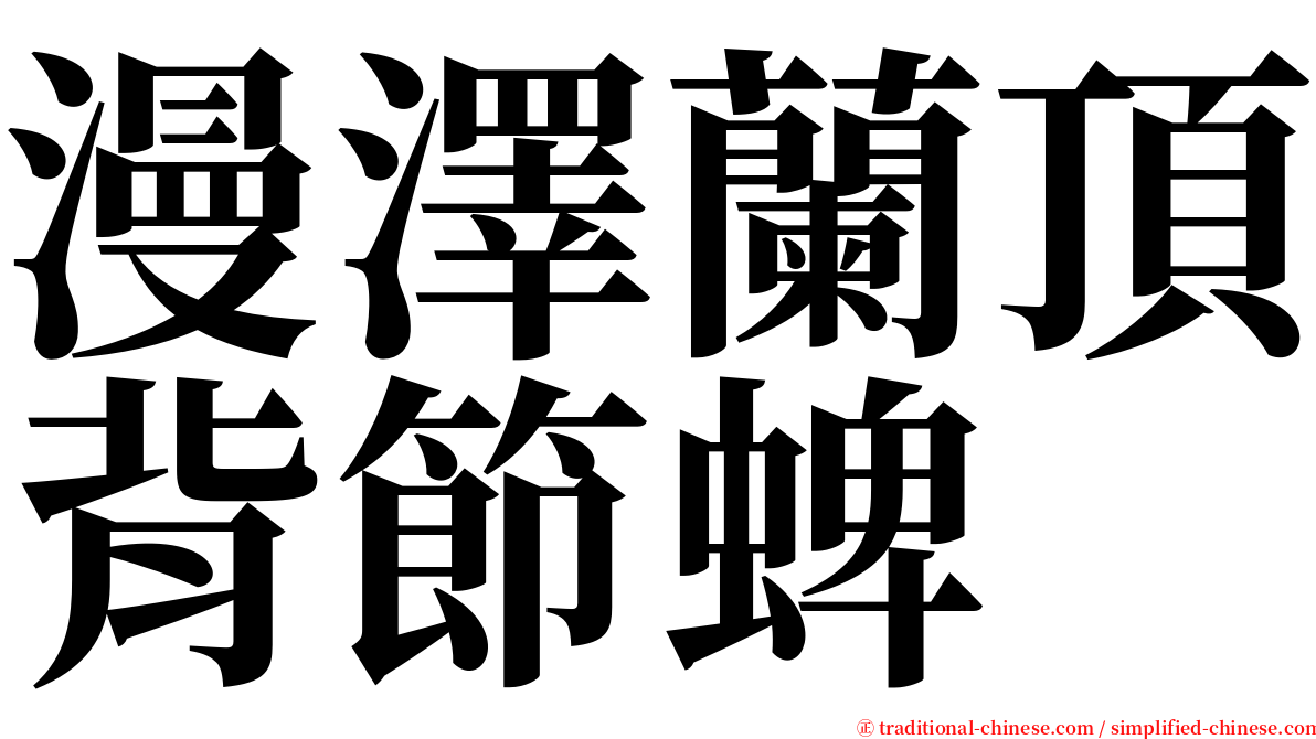 漫澤蘭頂背節蜱 serif font