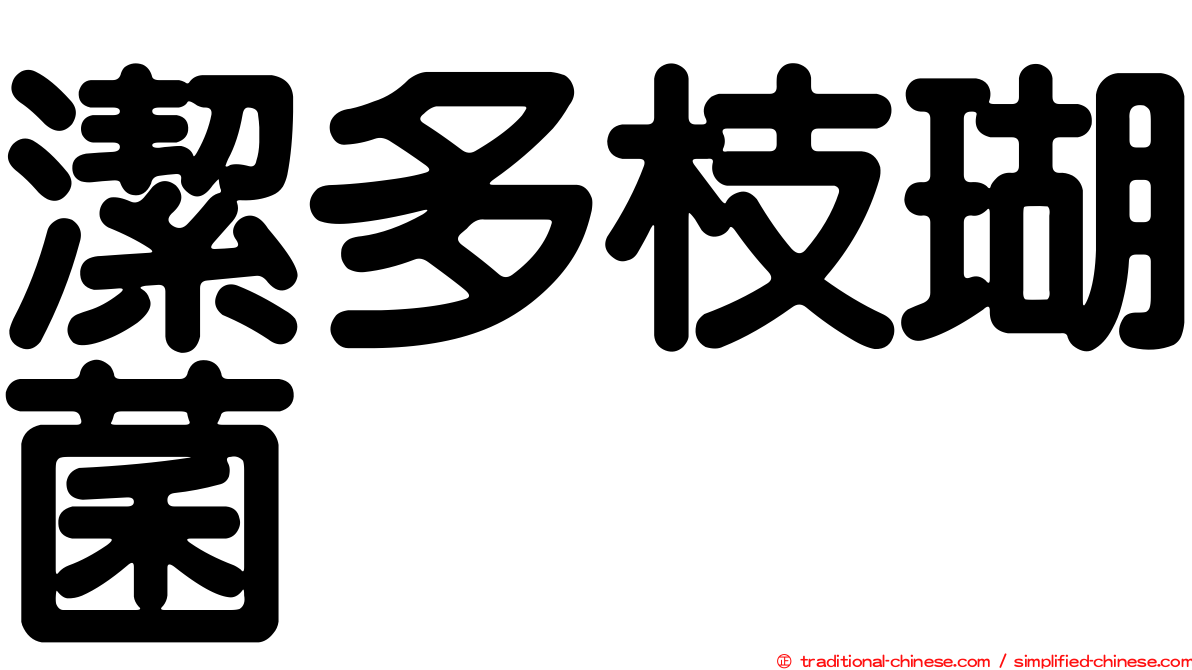 潔多枝瑚菌