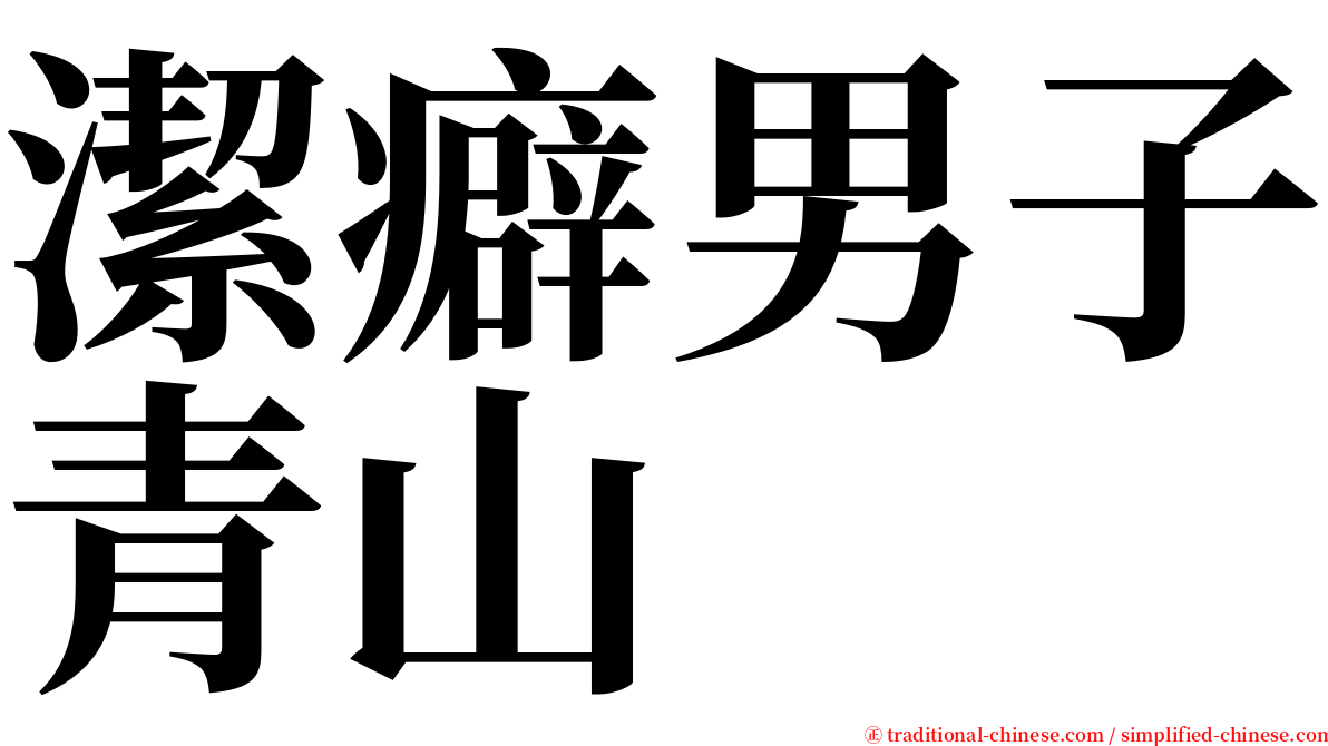 潔癖男子青山 serif font