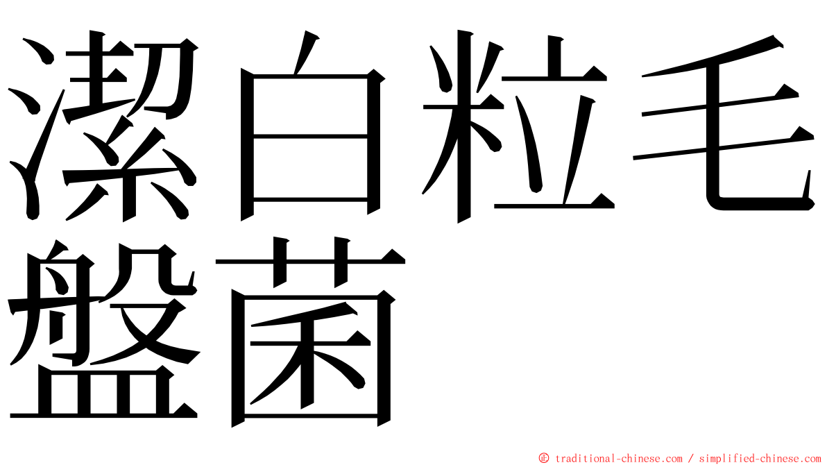 潔白粒毛盤菌 ming font