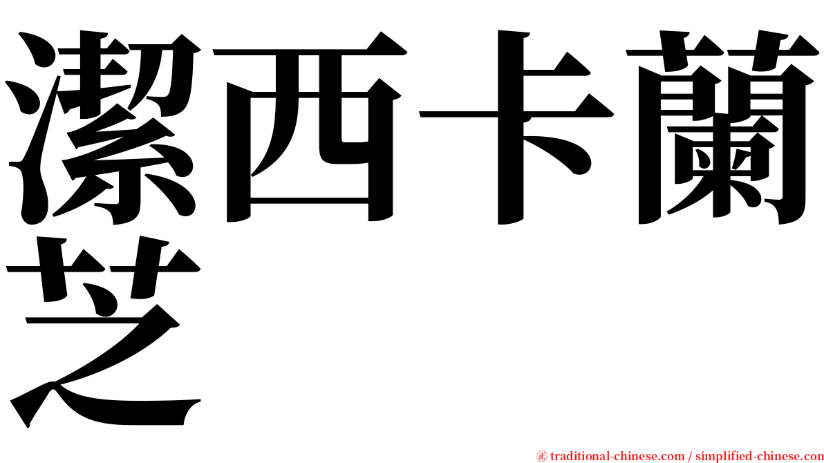 潔西卡蘭芝 serif font