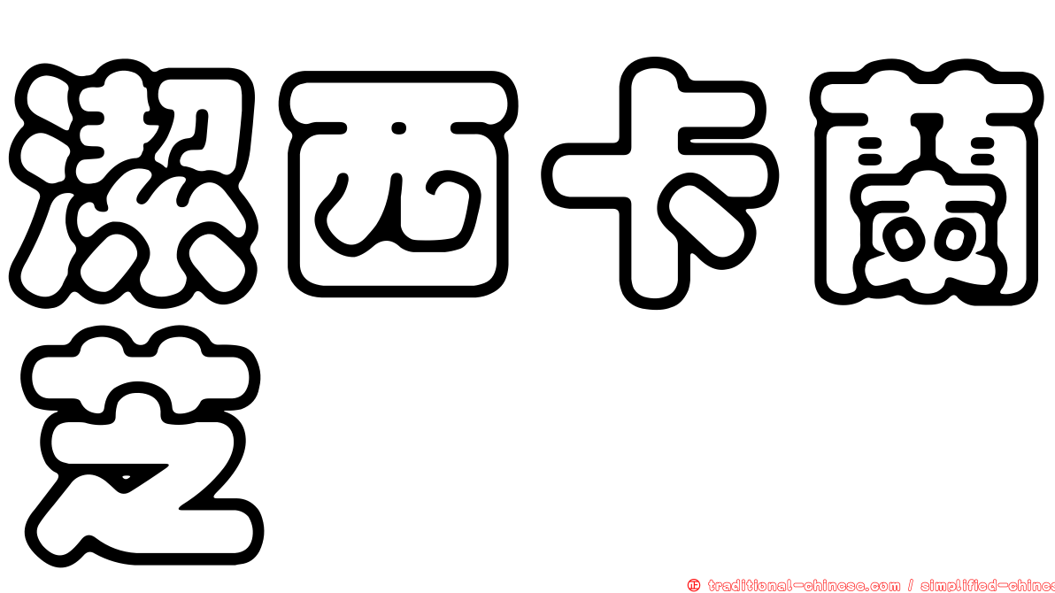 潔西卡蘭芝