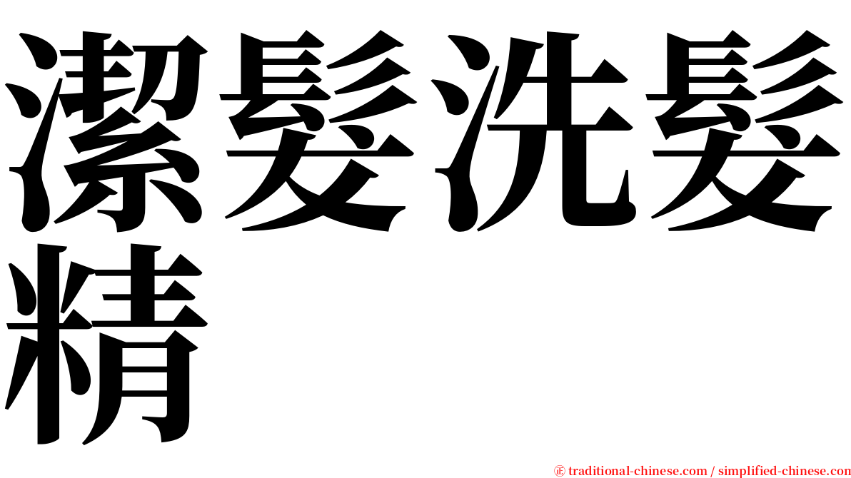 潔髮洗髮精 serif font