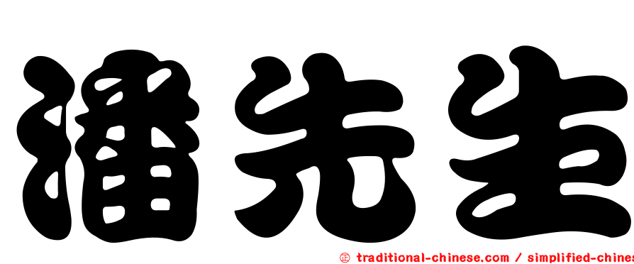 潘先生