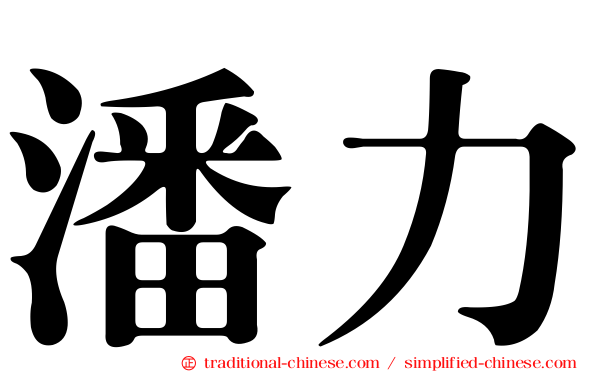 潘力