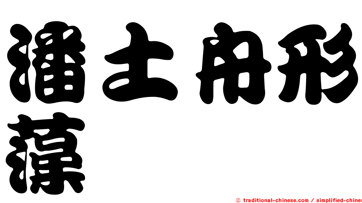 潘土舟形藻