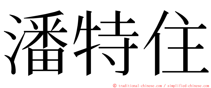 潘特住 ming font
