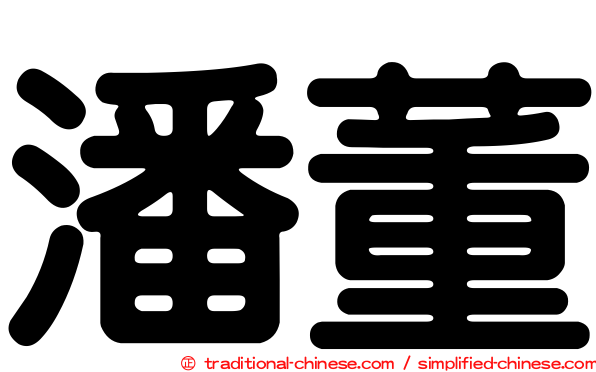 潘董