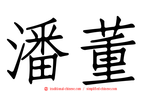 潘董