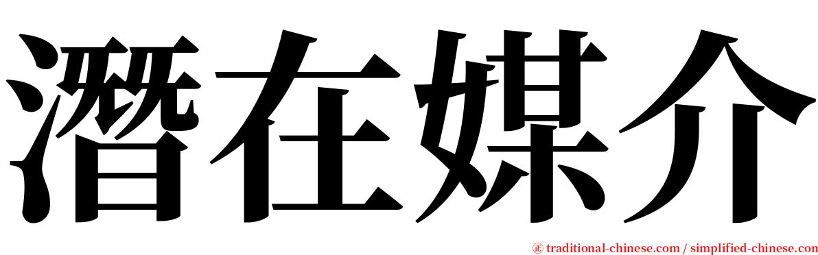 潛在媒介 serif font