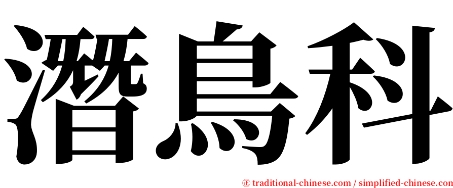 潛鳥科 serif font