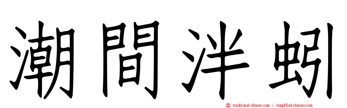潮間泮蚓