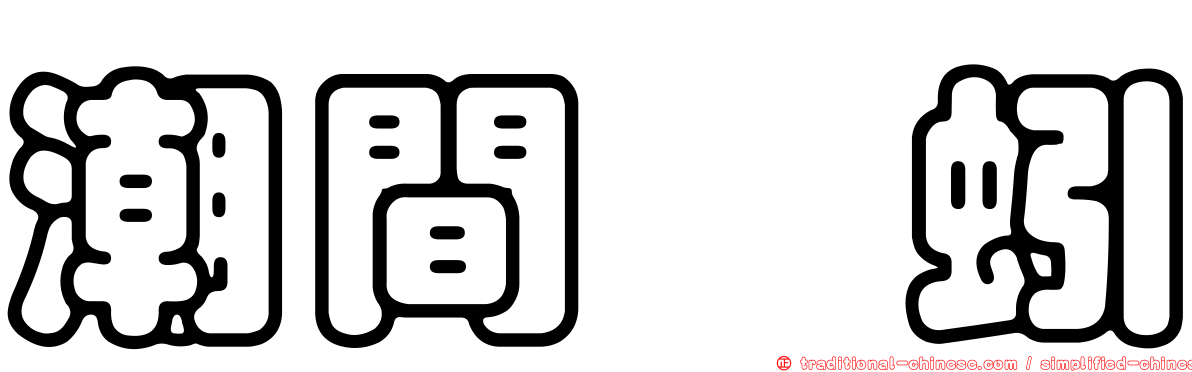潮間泮蚓