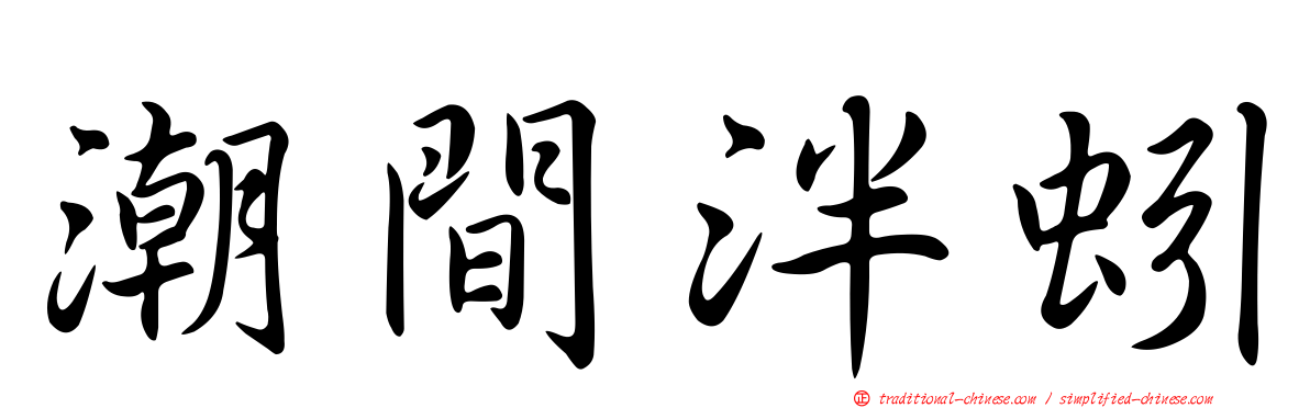 潮間泮蚓