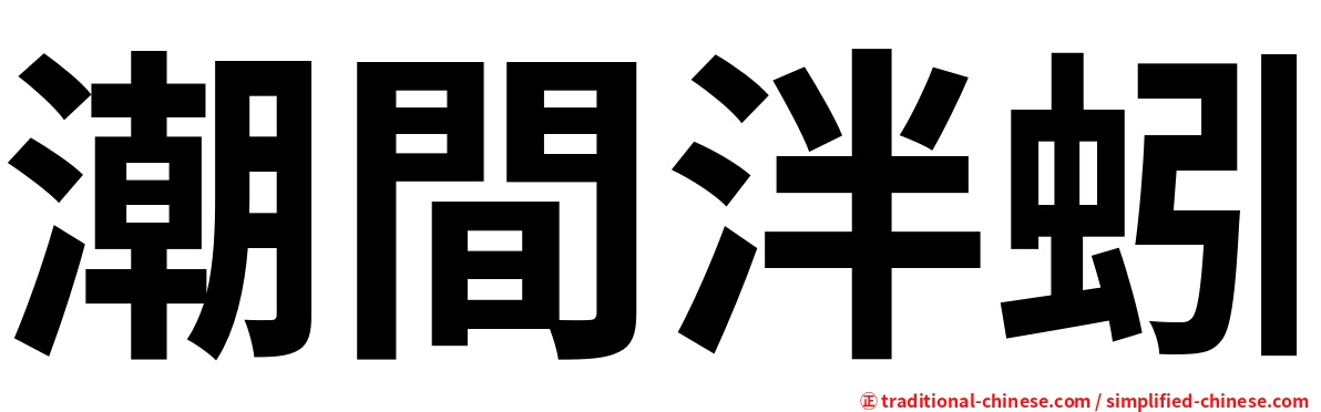 潮間泮蚓
