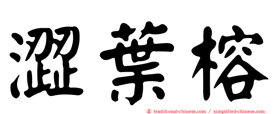 澀葉榕