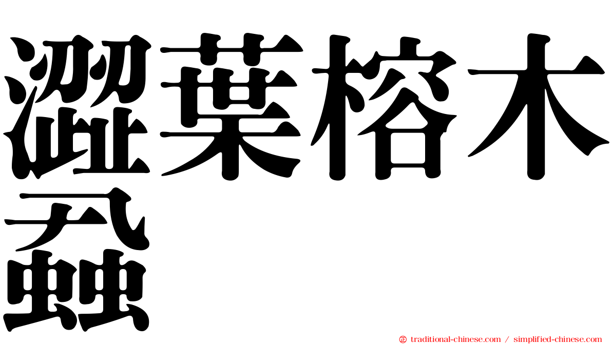 澀葉榕木蝨