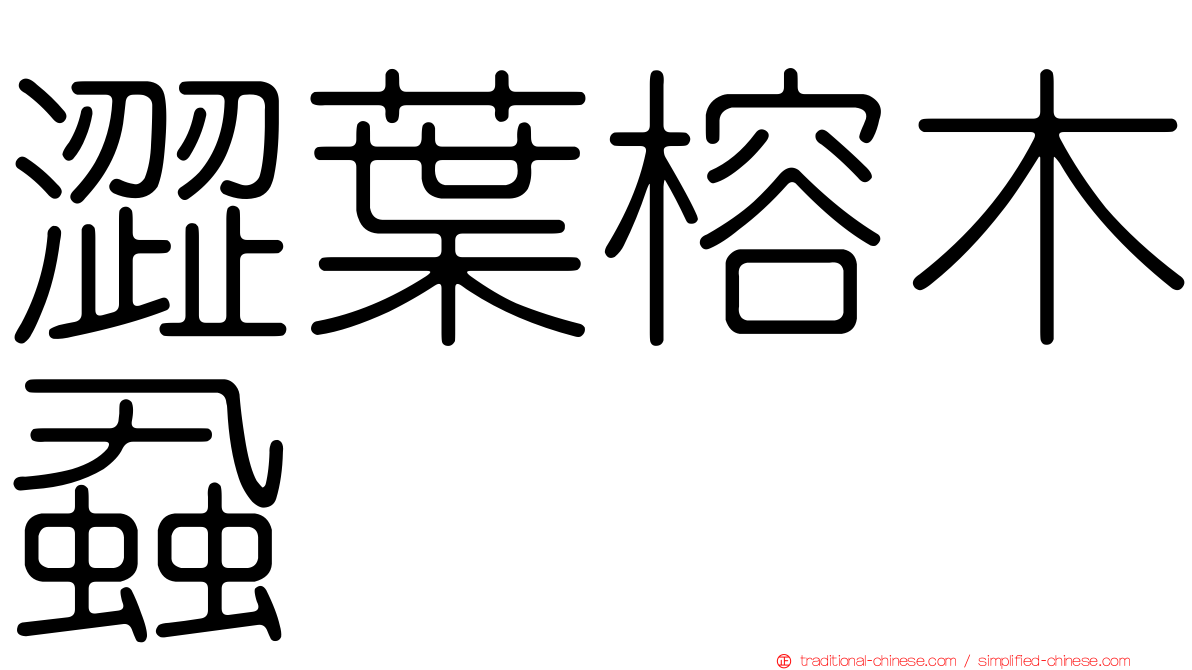 澀葉榕木蝨