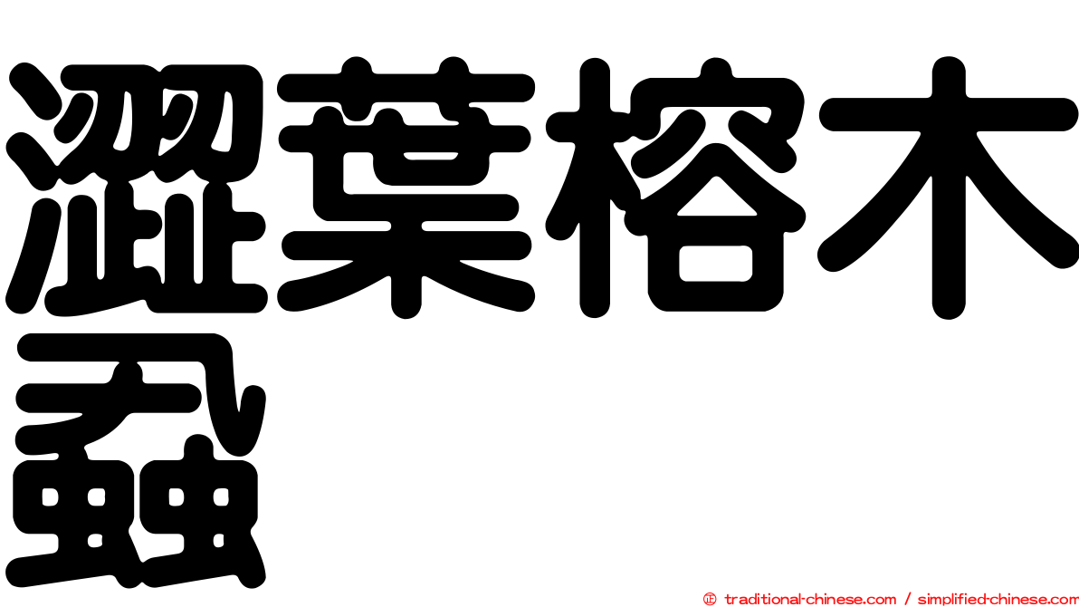 澀葉榕木蝨