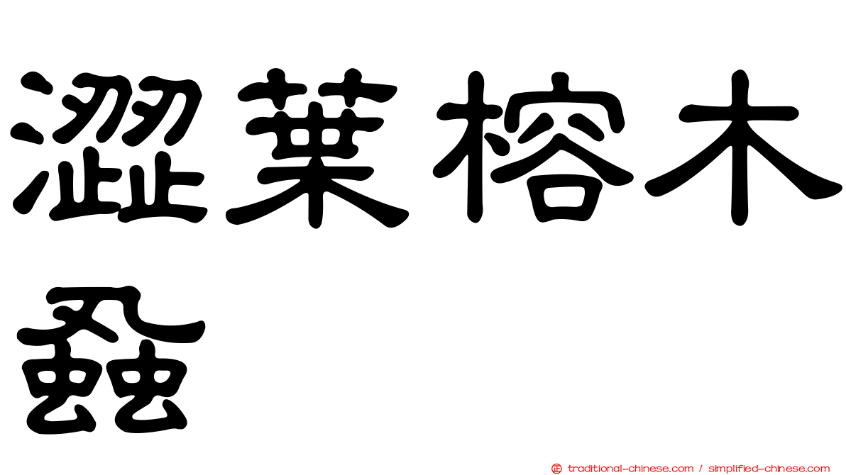 澀葉榕木蝨