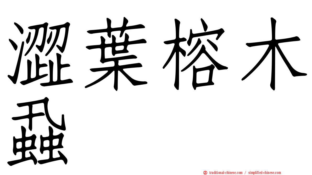 澀葉榕木蝨