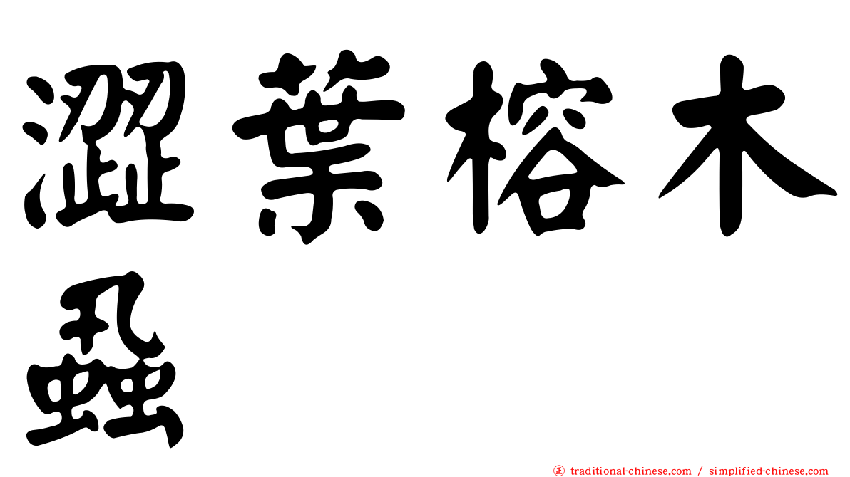 澀葉榕木蝨
