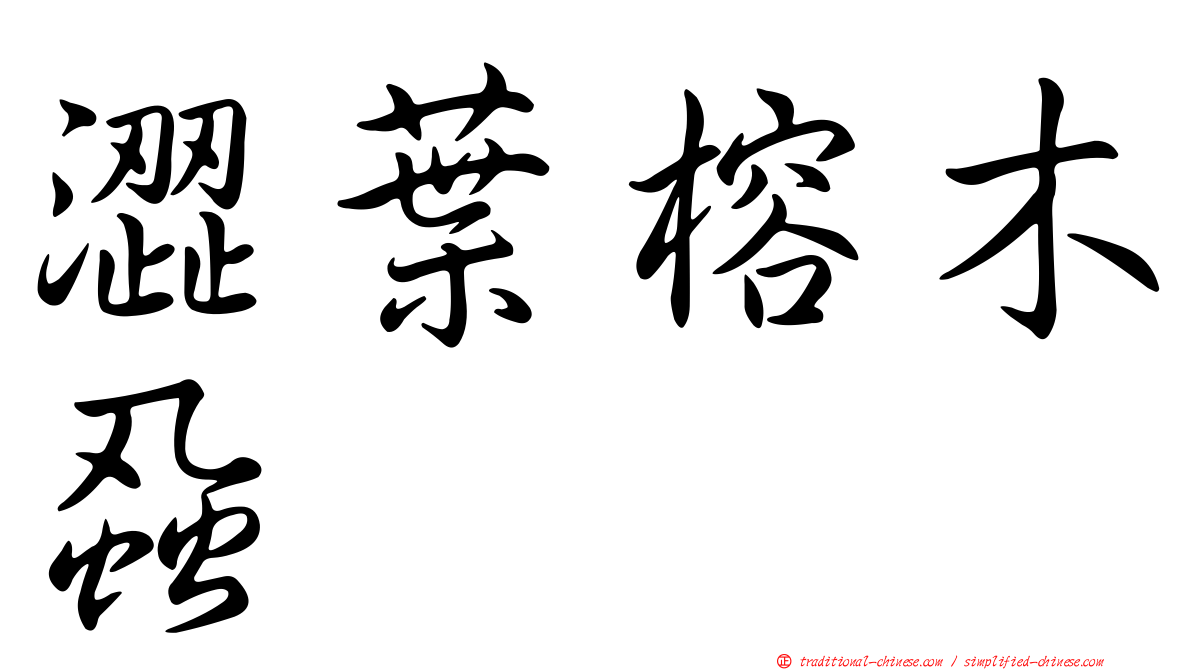 澀葉榕木蝨