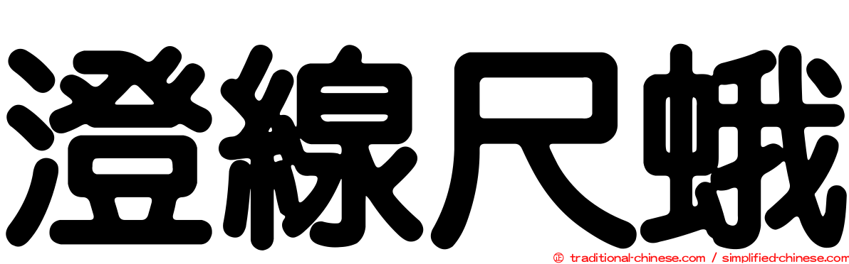 澄線尺蛾