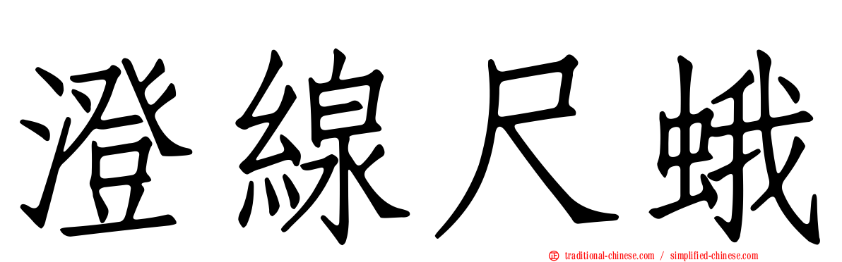 澄線尺蛾