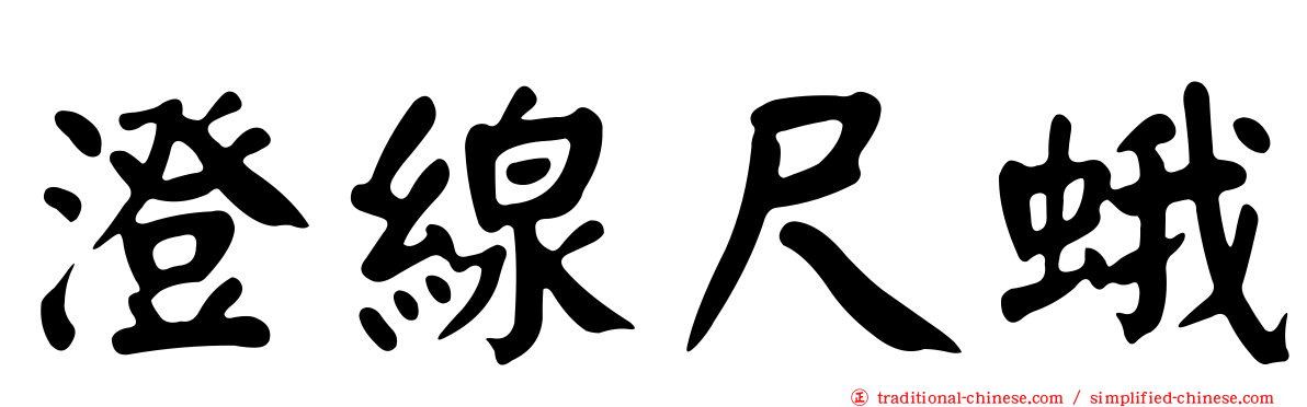 澄線尺蛾